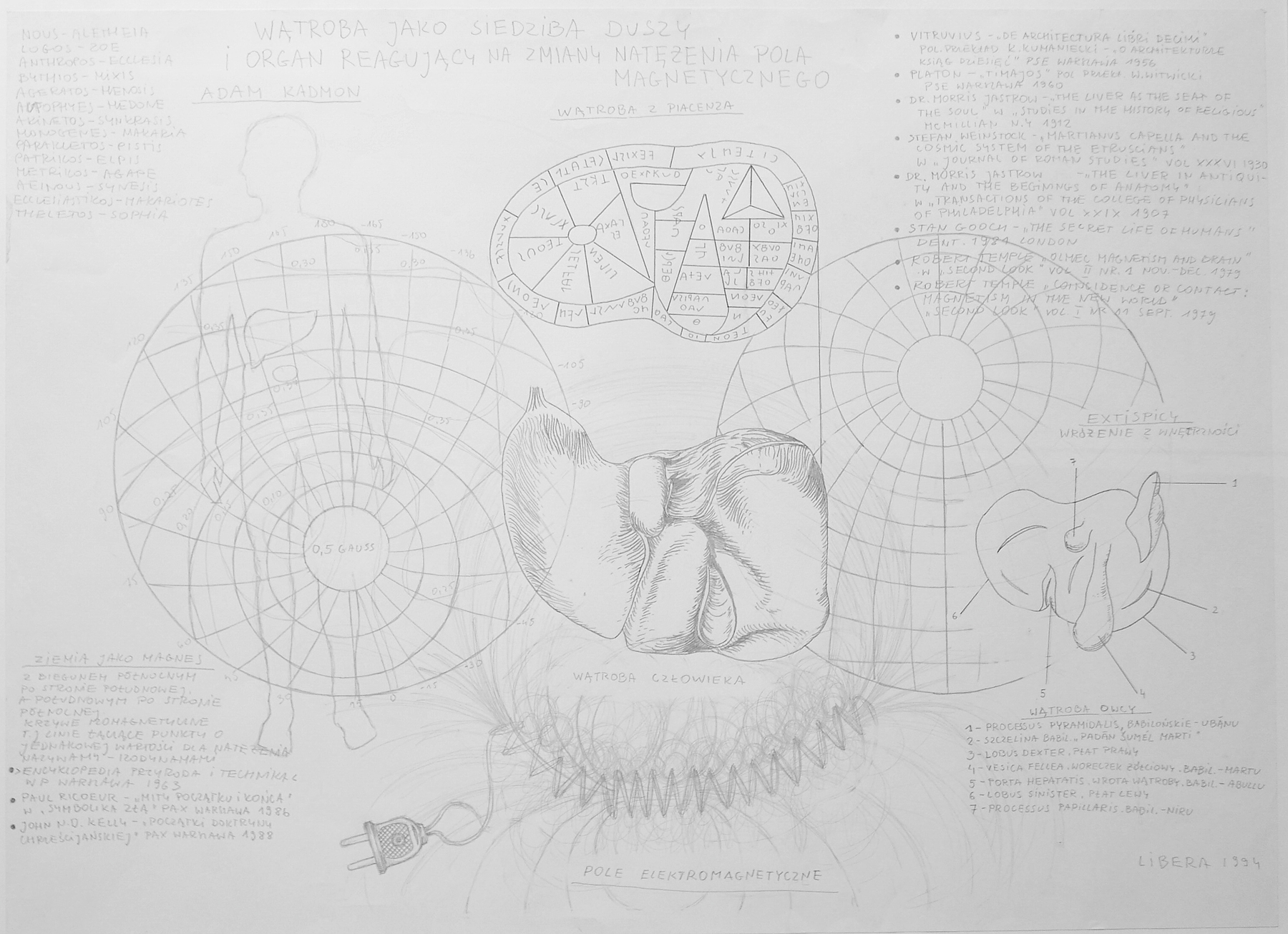 Zbigniew Libera – Wątroba jako siedziba duszy i organ reagujący na zmiany natężenia pola magnetycznego – ołówek, papier, 60,5 x 84 cm, 1994
